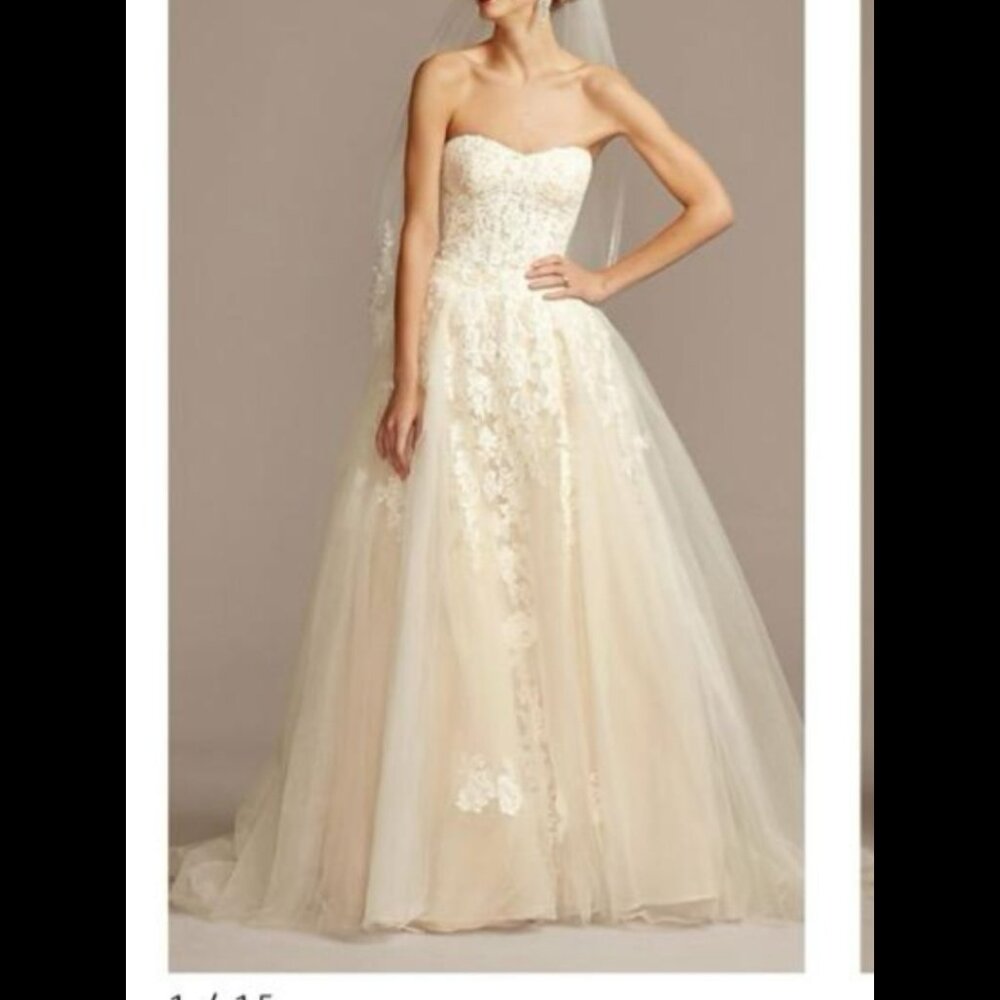 Wedding dress and veil